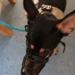 6FD29D86-2D25-4D1E-B032-7529B35A153A